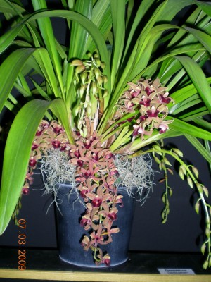 DSCN30110001.JPG