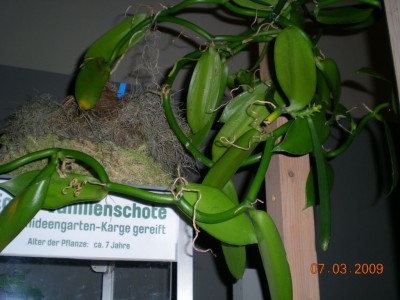 DSCN30190001.JPG
