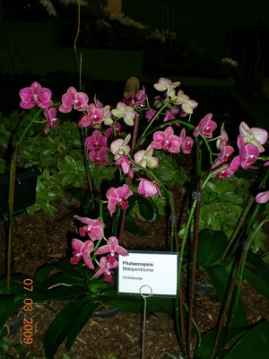DSCN30330001.JPG