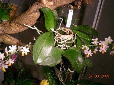 DSCN30220001.JPG