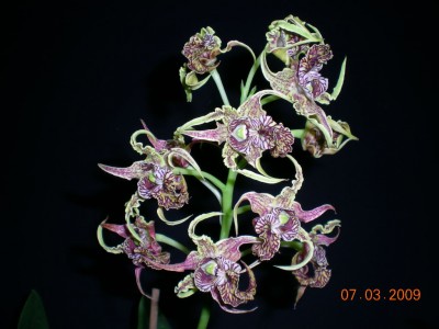 DSCN29660001.JPG