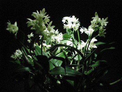 DSCN29460001.JPG