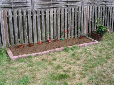 erstes Passi-Beet.JPG