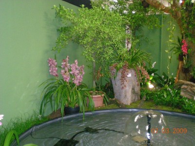 DSCN29720001.JPG