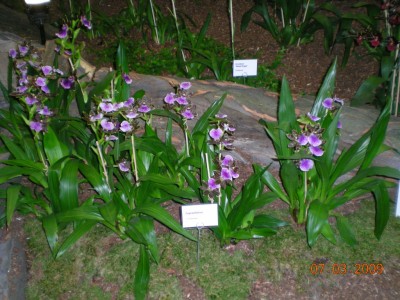 DSCN29770001.JPG