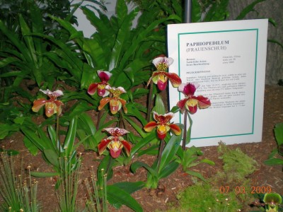 DSCN29880001.JPG
