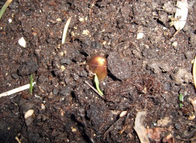 web_IMG_8492.jpg