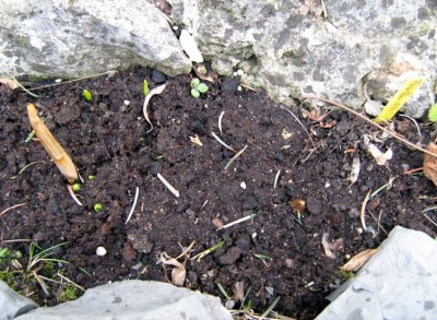 web_IMG_8494.jpg