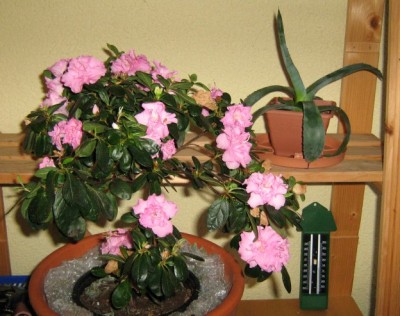 web_IMG_8500.jpg