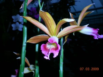 DSCN31400001.JPG