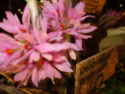 März 2009 030.jpg