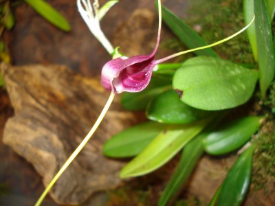 März 2009 026.jpg