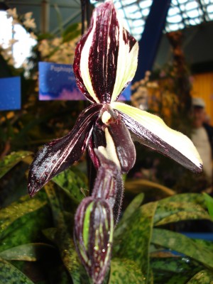 März 2009 046.jpg