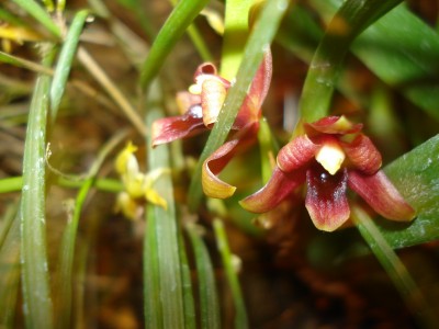 März 2009 045.jpg