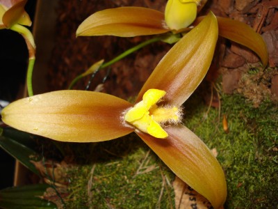 März 2009 041.jpg