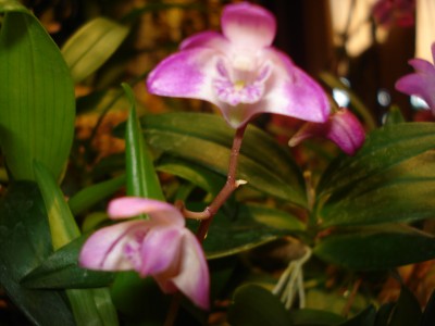 März 2009 038.jpg