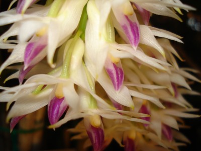 März 2009 037.jpg