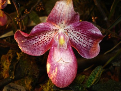 März 2009 034.jpg