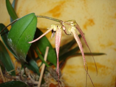März 2009 050.jpg