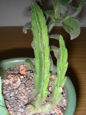 dscn9028.jpg