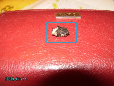 PICT0529.JPG