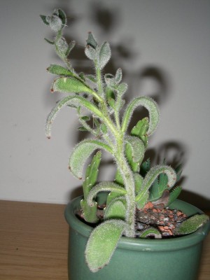 dscn9027.jpg