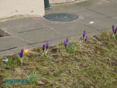 PICT0548.JPG