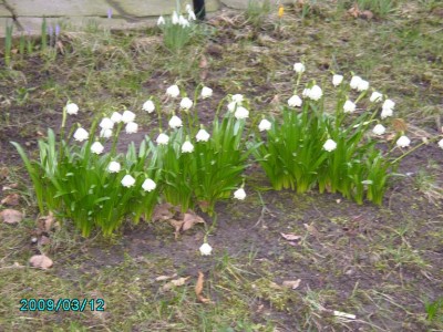 PICT0545.JPG