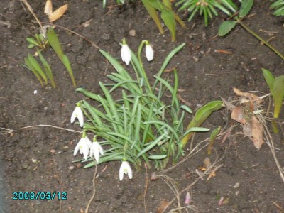 PICT0544.JPG