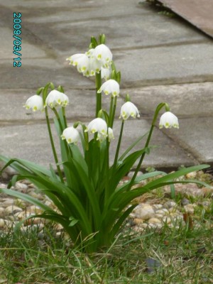 PICT0543.JPG