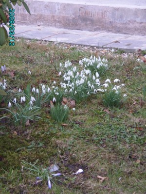 PICT0542.JPG