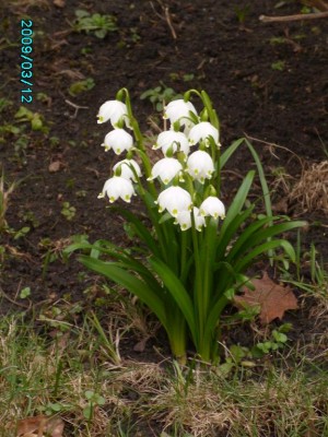 PICT0540.JPG