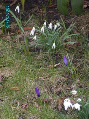 PICT0539.JPG