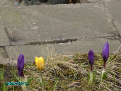 PICT0550.JPG
