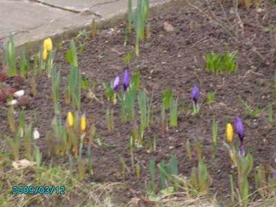 PICT0549.JPG