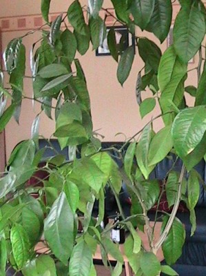 2008 034.JPG