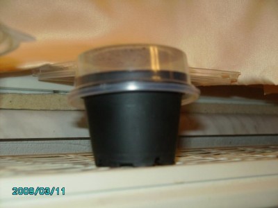 PICT0533.JPG