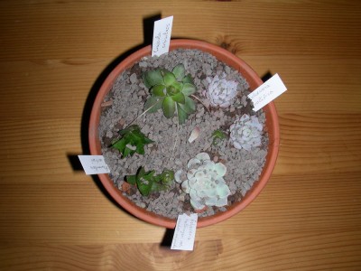 dscn9038.jpg