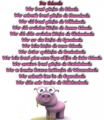 Das Schwein.JPG