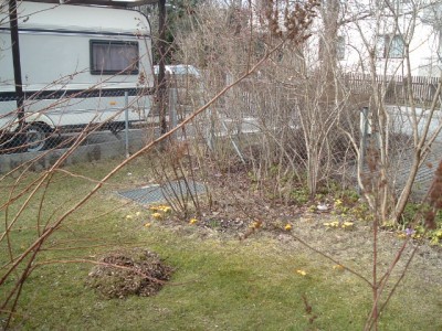 DSCF1803.JPG