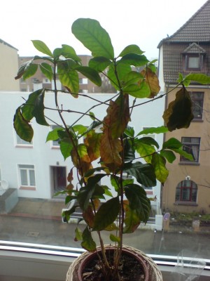 DSC01146.JPG