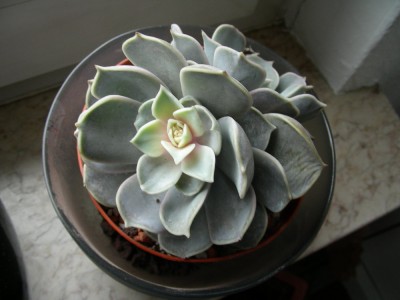 dscn9042_1.jpg