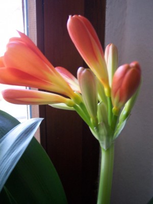 Bild 127.jpg