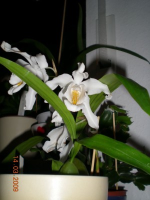 DSCN31950001.JPG