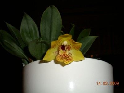 DSCN31980001.JPG