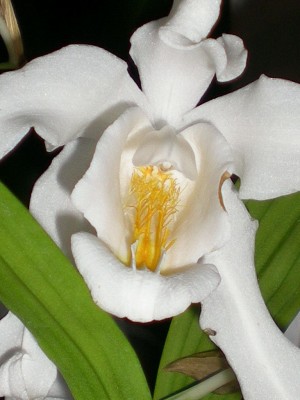 RSCN31960001.JPG