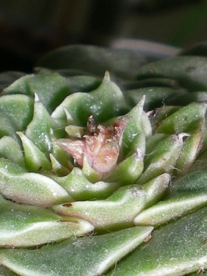 RSCN32390001.JPG