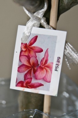 Schild (1 von 1).jpg