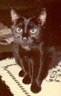 Ginger schön.jpg