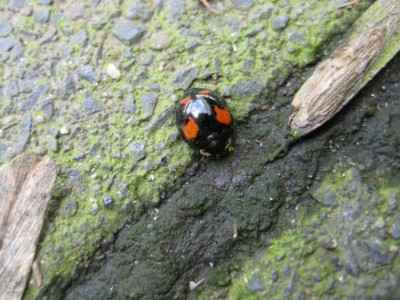 Img_5056.jpg